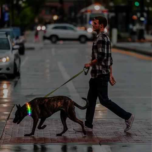 Vista 6 de Collar de perro con luz LED, multicolor con 3 modos de brillo, collar recargable que brilla en la oscuridad para perros pequeños, medianos