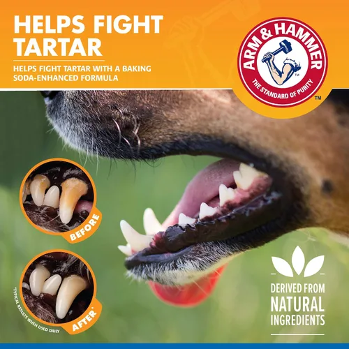 Vista 4 de Aerosol de cuidado dental avanzado contra sarro para perros, sabor menta, de Arm & Hammer (4 onzas)