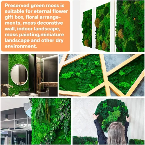 Vista 8 de Sukh Musgo preservado – Musgo de 3.5 onzas para manualidades, musgo sintético de musgo verde natural, arte para pared, terrarios de musgo floral