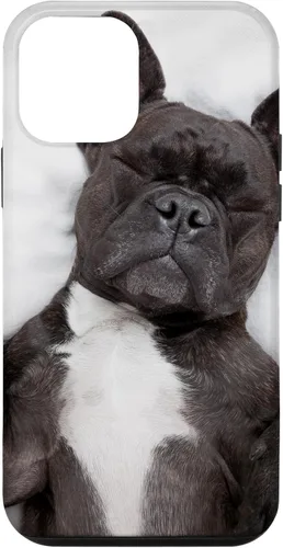 Vista 16 de Carcasa gráfica de Bulldog Francés para iPhone 17