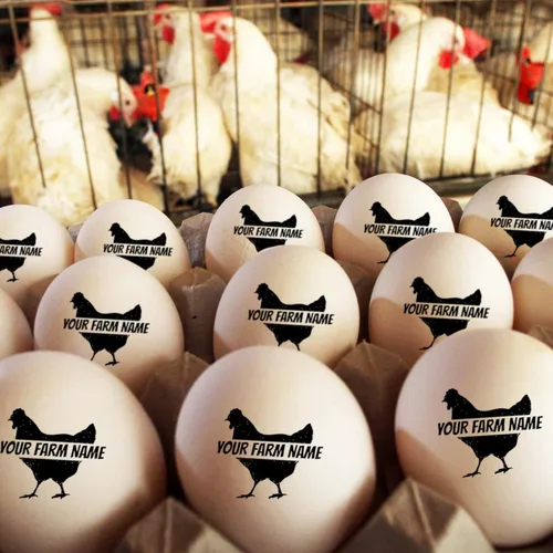 Vista 6 de Sellos de huevos para huevos frescos, sello personalizado de huevo de pollo con diseños únicos, marcado de huevos personalizados para regalos