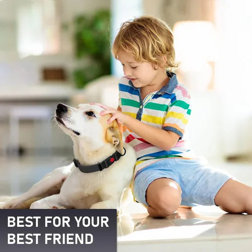 Vista 9 de Collar de perro ajustable con código QR identificación adjunta, fabricado en Estados Unidos, collar de perro resistente al agua con hebilla