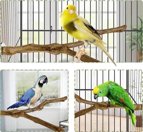 Vista 5 de kathson Perca de loro natural, soporte para pájaros, palo de uva silvestre, tenedor de pata de molienda, periquito, ramas de pie, juguete de jaula