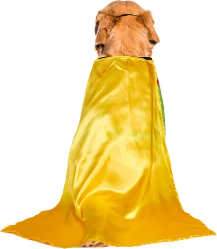 Vista 4 de Disfraz Rubies Costume Company de Robin de DC Comics para perro grande, 2x, Rojo