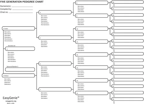 Vista 6 de EASYGENIE Kit de historias genealógicas: hojas de trabajo, gráficos y formularios para preservar la historia familiar y rastrear a los antepasados