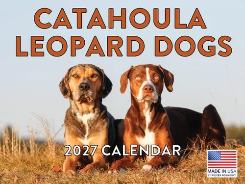 Vista 208 de Calendario mensual de pared Airedale Terrier Dog 2027 rojo (Airedale Terrier)