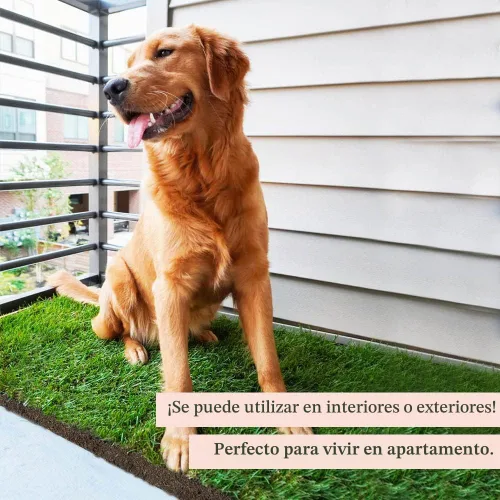 Vista 5 de DoggieLawn Orinal para perros - Hierba real - XL 24 x 48 pulgadas
