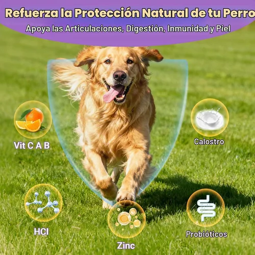 Vista 7 de Dog Vitamins 25 in 1 Multivitamin for Dogs Puppy Vitamin Chewable Skin Coat