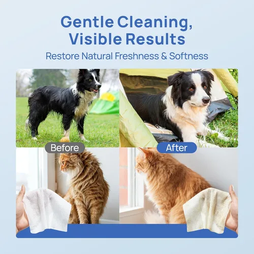 Vista 5 de HICC PET Toallitas para perros y gatos, agua mineral francesa, 110