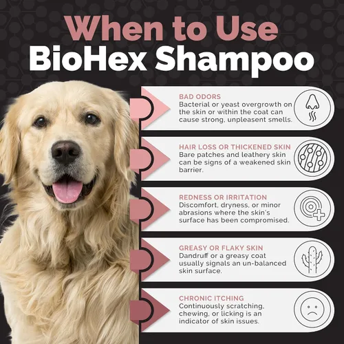 Vista 8 de BioHex - Champú para perros, gatos y caballos, limpieza profunda sin jabón, 16 onzas Chlorhexidine & Miconazole, MicroSilver BG, Ceramide 3