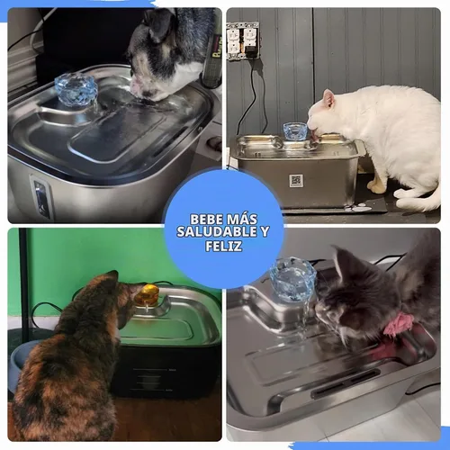 Vista 7 de Filtros de repuesto para fuente de perro Lesotc, filtro de agua, para fuente de acero inoxidable para perros grandes, filtración vertical