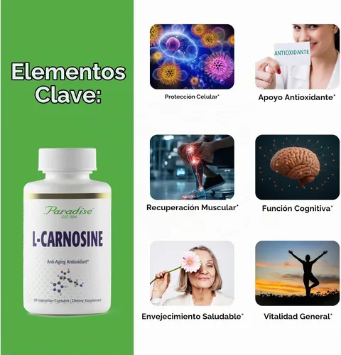 Vista 2 de Paradise Herbs L-Carnosina Vegana Sin OMG Sin Gluten 60 Cápsulas