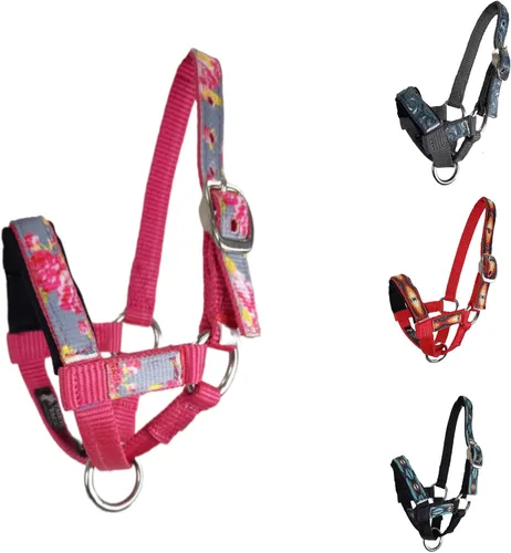 Vista 4 de Halter de alpaca superpuesto de nailon con banda nasal acolchada - 6 meses de garantía