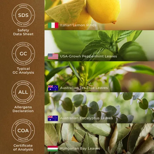 Vista 6 de Gya Labs Breathe - Mezclas de aceites esenciales 100% puros, naturales y fáciles de respirar de eucalipto, menta y más para limpiador humidificador