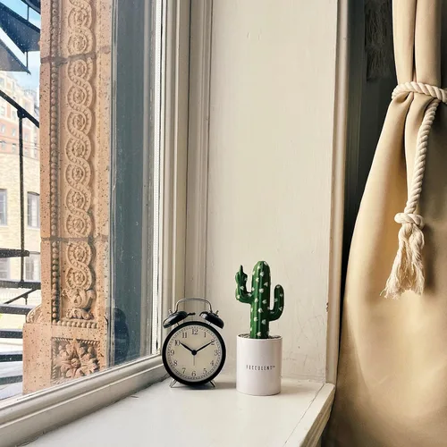 Vista 4 de FUCCULENT Adorno de escritorio para decoración de oficina