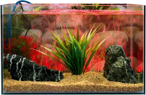 Vista 3 de Marina Cortina LED Betta Bomba de aire para acuario, 21 pulgadas, rojo
