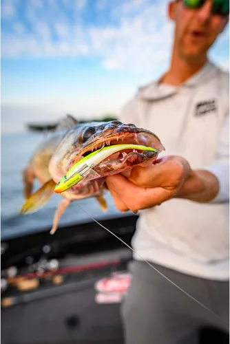 Vista 5 de ¡Berkley Gulp! Cebo suave de pesca de pececillos vivos