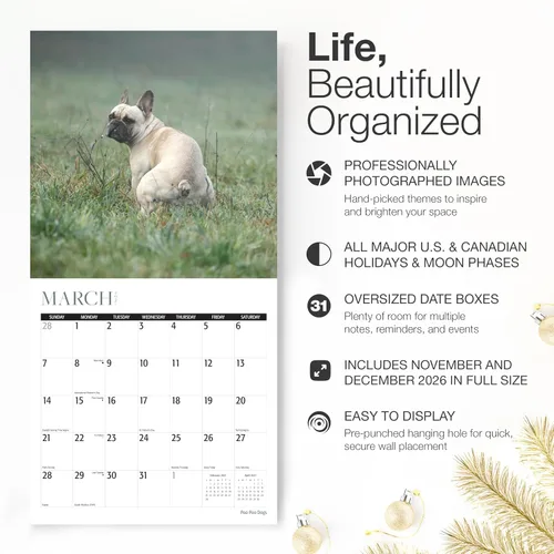 Vista 2 de RED EMBER Select Droppin' Like It's Hot 2027 - Calendario de pared de 12 05 - Poo Poo Poo Perros
