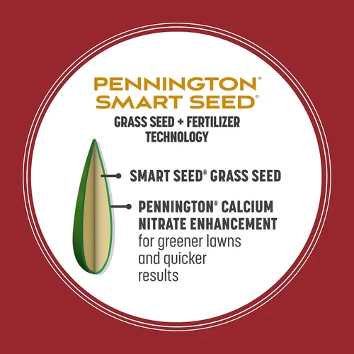 Vista 4 de Pennington Smart Seed Raigrás perenne 3 libras