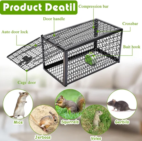 Vista 3 de Qualirey Trampa humana para ratas, ardilla, roedor, ratón, ardilla, trampa para ardillas, 11 x 6 x 6 pulgadas, para animales vivos, ratones