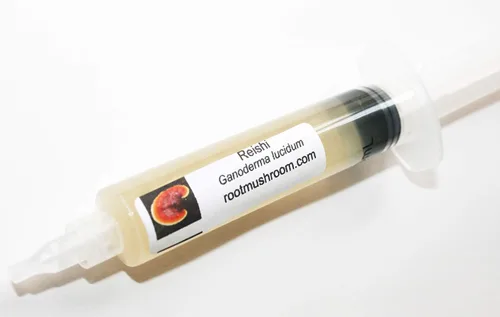 Vista 12 de Root Mushroom Farm - Cultivo líquido de hongos/cabeza de oso (Hericium americanum)