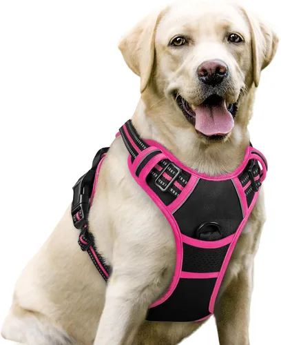 Vista 10 de Rabbitgoo - Arnés para perros sin tirón con 2 clips de correa, chaleco Oxford reflectante acolchado suave ajustable sin estrangulamiento
