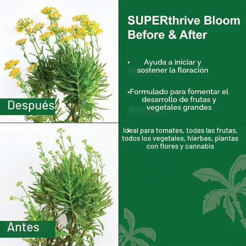 Vista 4 de Dyna-Gro Tamaño del alimento para plantas de floración: 8 onzas