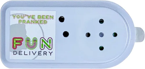 Vista 6 de FUN delivery Annoise Broma de broma de sonido molesto grabable oculto broma broma