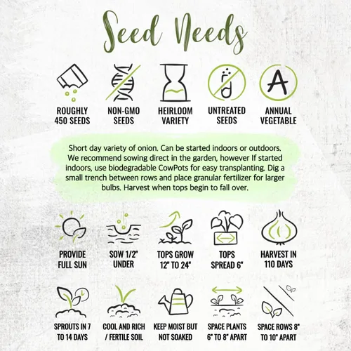 Vista 8 de Seed Needs Semillas de cebolla roja borgoña para plantar reliquia y sin OMG, 1 paquete