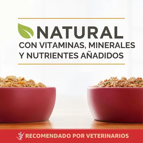 Vista 4 de Purina ONE - Paté natural, Paquete variado de comida húmeda enlatada para perros, SmartBlend Chicken Entree & Beef Entree - (6) latas de 13 oz.