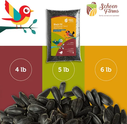 Vista 6 de Schoen Farms Semillas de girasol de aceite negro para pájaros (6 libras)