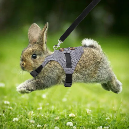 Vista 2 de Conjunto de arnés y correa de conejo, estilo formal ajustable para conejito gatito pequeño animal caminando (S)