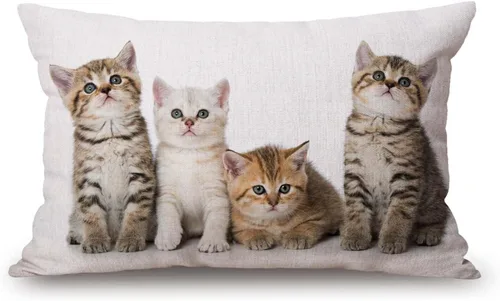 Vista 64 de Fundas de almohada de 12 x 20 pulgadas, decoración rústica de granja, sé feliz, fundas de almohada de algodón y lino, citas inspiracionales con Jcp20