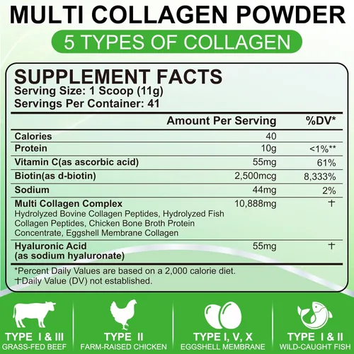 Vista 5 de SCOLA Péptidos de colágeno en polvo - Tipo I, II, III, V, X - Péptidos de colágeno hidrolizados con vitamina C ácido hialurónico, apoya la piel
