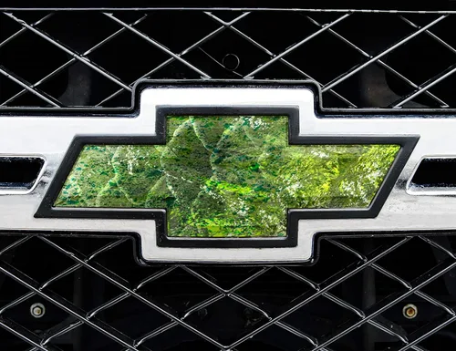 Vista 12 de Mossy Oak Graphics 14010-BI Break-Up Infinity Piel de emblema de auto, Blaze