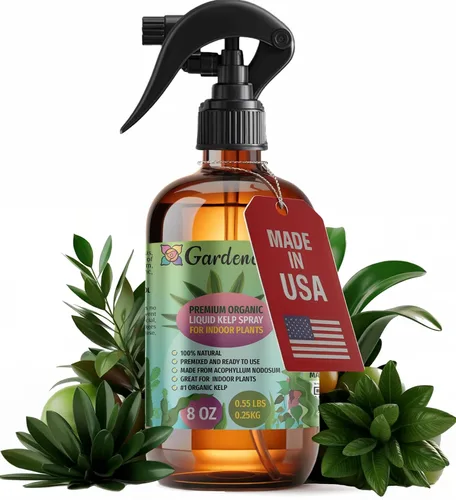 Vista 25 de GARDENERA Spray orgánico profesional de algas marinas para plantas AGLAONEMA – 8 oz – Rocío fertilizante de algas marinas y algas marinas totalmente