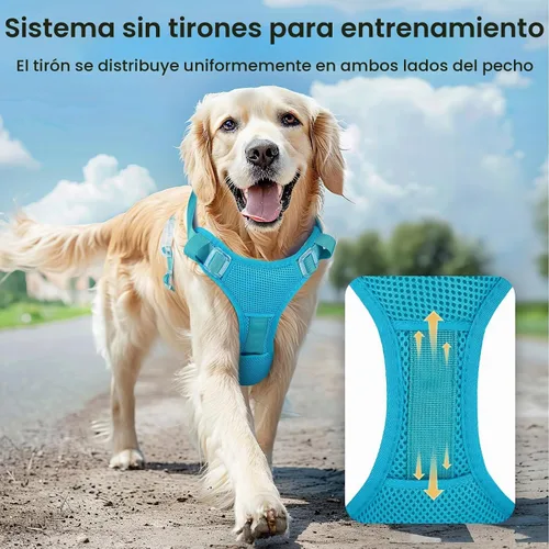 Vista 3 de Arnés para perro con luz LED recargable - Chaleco reflectante para mascotas para caminar por la noche - Arnés de seguridad ajustable sin tirones