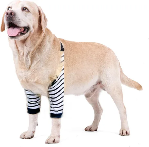 Vista 5 de Protector de codo para perro, coderas con almohadilla de malla para perros medianos y grandes para evitar lamer heridas (automóvil, 4XL)