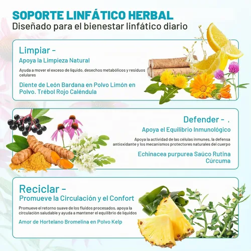 Vista 3 de Suplementos de drenaje linfático 90 cápsulas para la salud inmunológica