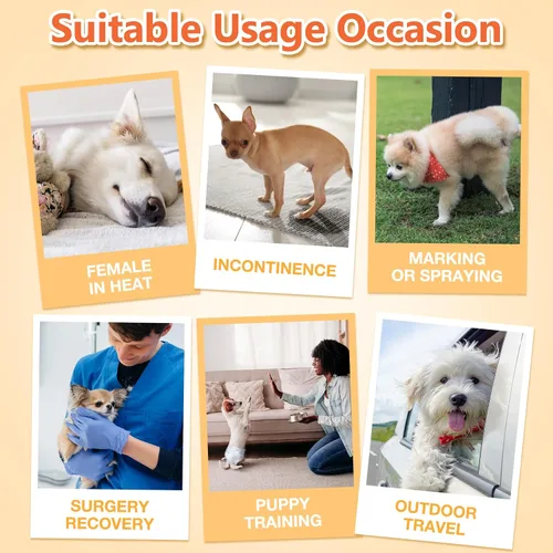 Vista 6 de Pet Soft, pañales desechables para mascotas, perros, cachorros, 12 unidades, 72 pañales, XXS- XL