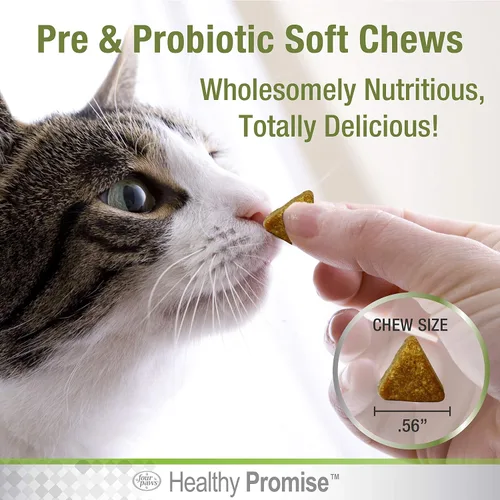 Vista 2 de Four Paws Healthy Promise Pre y probióticos para gatos masticables suaves 90