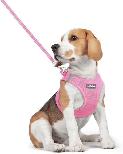 Vista 121 de rabbitgoo Arnés para perro de tamaño pequeño y juego de correa, chaleco Cachorros de manzana