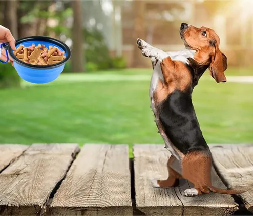 Vista 6 de 3 cuencos plegables de silicona para perros, plato plegable expandible para mascotas pequeñas, comida y agua, tazón portátil de viaje, etiqueta