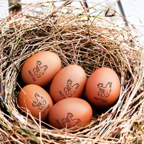 Vista 7 de Sello personalizado para huevos de gallina, sello de huevos frescos, sello de huevo pequeño, sello de goma completo, bonitos sellos de huevos
