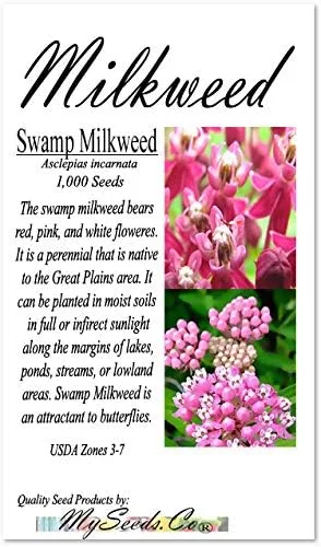 Vista 4 de Los 5 paquetes grandes - Común, Puesta de sol tropical, Motivas, Pantano y Mariposa Milkweed Seeds, Asclepias (Los 5 paquetes grandes)