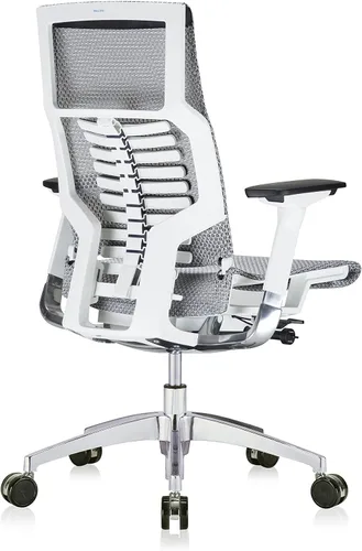 Vista 6 de POwerFIT Exec Silla Gris MESH ASIENTO Y Respaldo-Marco Blanco