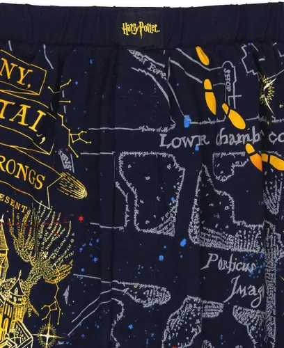 Vista 3 de Harry Potter Hogwarts Houses - Calzoncillos tipo bóxer para hombre
