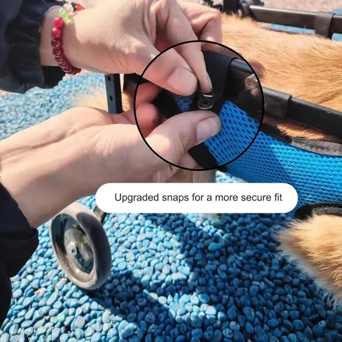 Vista 7 de Herramienta ligera para caminar para perros, silla de ruedas ajustable para perros, soporte para piernas y soporte de cadera para perros pequeños