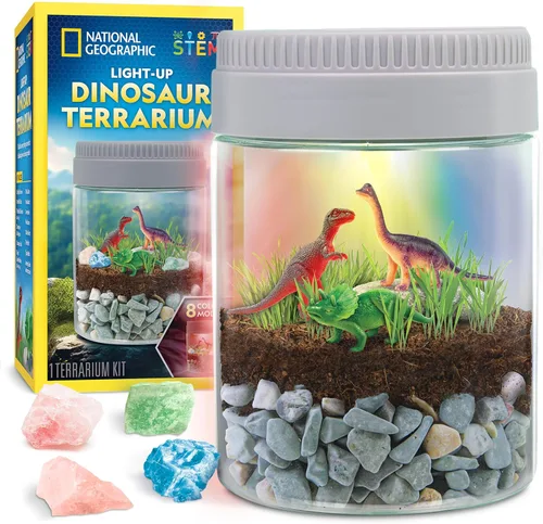 Vista 10 de National Geographic - Kit de terrario iluminado para niños, construye un hábitat de dinosaurios con plantas reales y piedras preciosas, kit