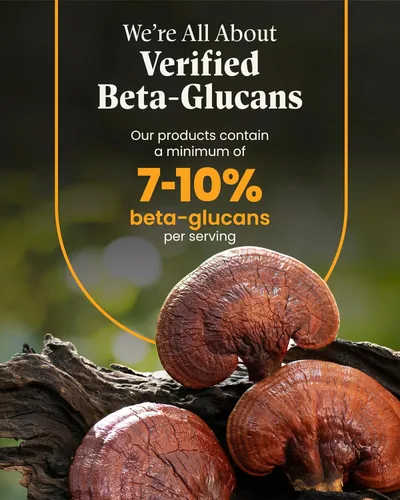 Vista 7 de Mezcla Cordyceps de bienestar de hongos con cápsulas Reishi: cápsulas orgánicas de hongos, suplemento en polvo de hongos, apoya el sistema